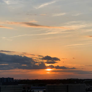 Meet your Posher, Jazmin